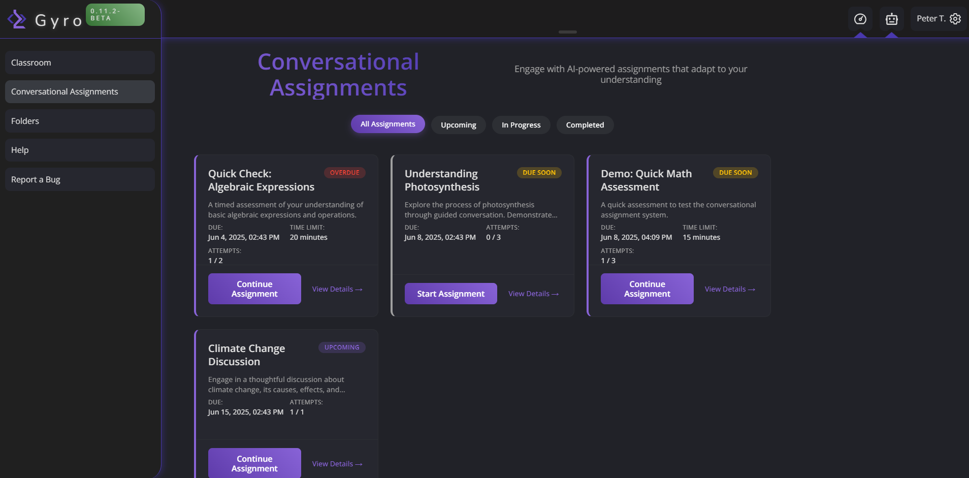 Conversational assignment interface
